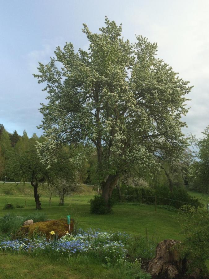Braenntorps Gard Villa Kolmården Eksteriør billede