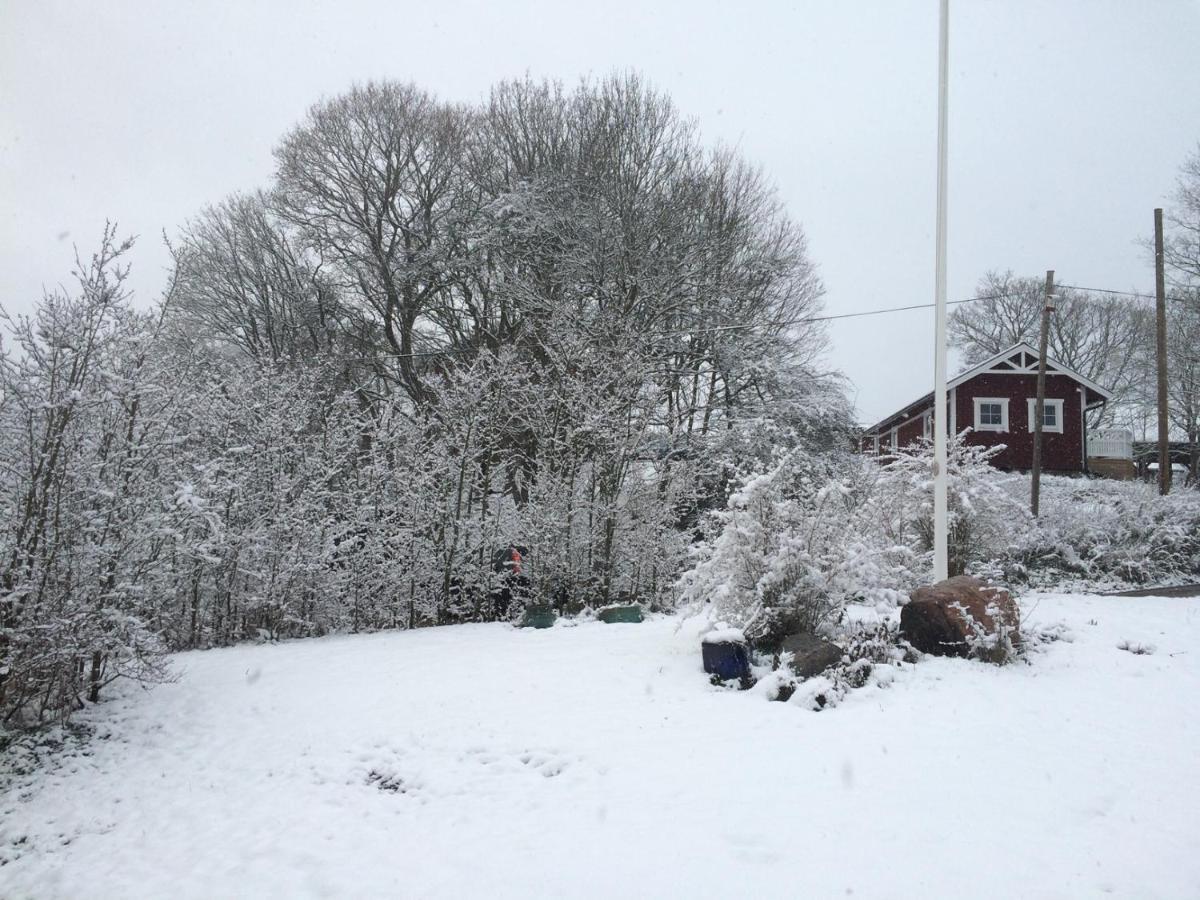 Braenntorps Gard Villa Kolmården Eksteriør billede